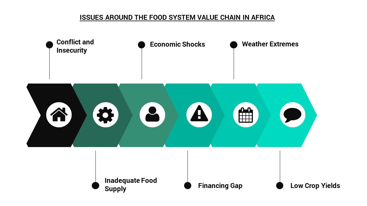 Solving Africa's Food Insecurity Through and Beyond the Crisis INFOGRAPH (1)